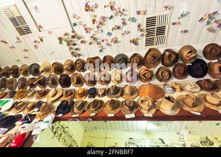 Une collection de chapeaux de stockman australien au populaire Wellshot Hotel, Ilfracombe, Central Queensland, QLD, Australie Banque D'Images