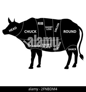 diagramme de viande vache sur fond blanc. coupe de boeuf. silhouette de vache avec tableau de coupes de boeuf. style plat. Banque D'Images