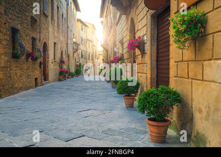 Vue imprenable sur la rue toscane. Jolies maisons médiévales en pierre dans une rue pavée étroite avec entrées fleuries et plantes vertes ornementales, Pienza, Toscane, I Banque D'Images