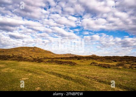 Vue vers Brat Tor et la Widgery Cross de High Down dans le nord du parc national de Dartmoor, Devon, Angleterre, Royaume-Uni Banque D'Images