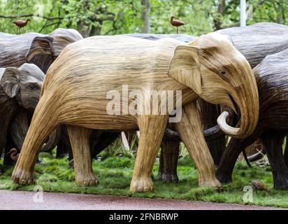 Non exclusif: Des sculptures d'éléphant grandeur nature sont exposées dans le Mall dans le cadre de la coexistence, une campagne d'art environnemental produite par Elephant Fami Banque D'Images