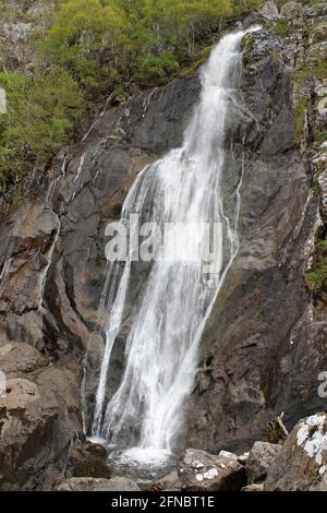 Aber Falls, Coedydd, réserve naturelle nationale de l'Aber, Gwynedd, pays de Galles Banque D'Images