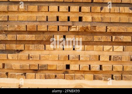 Stockage de piles de bois sur la scierie. Les planches sont empilées dans une boutique de menuiserie. Sciage séchage et commercialisation du bois. Bois de pin pour Banque D'Images