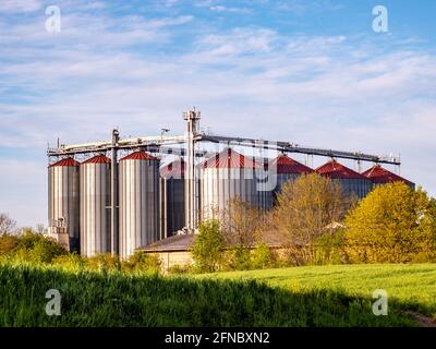 Silo de céréales dans l'économie agricole Banque D'Images