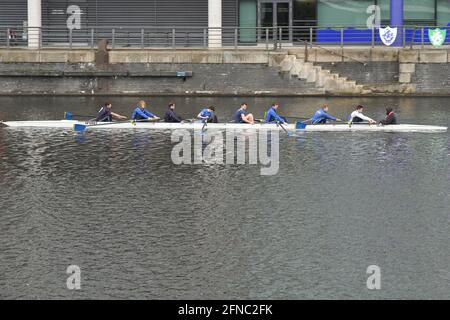 Équipe d'aviron sur le canal du navire de Manchester à Salford Quays Manchester. Banque D'Images