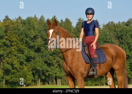 Cavalier à l'arrière d'un cheval bavarois de châtaignier Banque D'Images