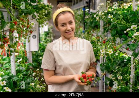 Femme paysanne souriante tenant des fraises mûres rouges Banque D'Images