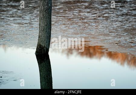 Réflexions dans un étang photographié le samedi 21 novembre 2020 dans le comté de Waushara, Wisconsin. Banque D'Images