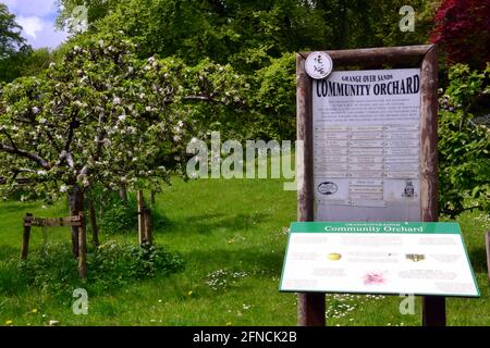 Panneau à Community Orchard, arbres en arrière-plan, à Grange au-dessus de Sands Cumbria, royaume-uni Banque D'Images