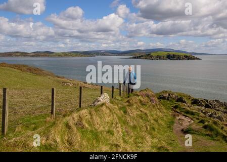 Promenade au sommet d'une falaise depuis Balcary Bay près d'Auchencairn à Galloway, en Écosse Banque D'Images