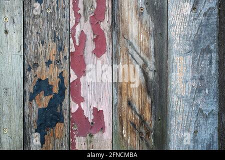Peinture écaillée sur le vieux bois vieilli avec motif vertical Banque D'Images