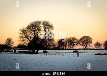 Lever de soleil sur les champs d'hiver près de Calverley dans le Yorkshire Banque D'Images