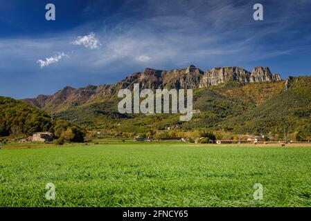 Puigsacalm vu de la Vall d'en Bas en automne (province de Gérone, Garrotxa, Catalogne, Espagne) ESP: Puigsacalm visto desde la Vall d'en Bas en otoño Banque D'Images