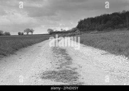 route agricole dans les champs et les terres boisées Banque D'Images