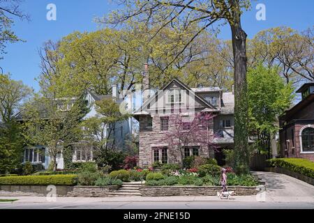 Une femme marche son chien dans une rue résidentielle avec grandes maisons individuelles traditionnelles et arbres matures au printemps Banque D'Images