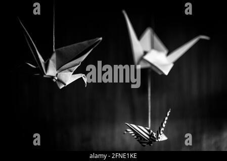 Bokeh profond de trois cygnes d'origami accrochés au toit avec un fond en bois en noir et blanc Banque D'Images