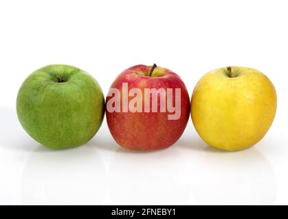 Malus domestica, pomme cultivée, pomme, pomme, famille de roses, GRANNY SMITH, GALA ROYAL ET POMMES DORÉES Banque D'Images