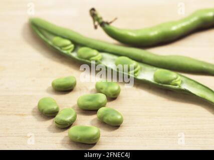 Fava, Field Fbean, Broad Fbean, Horse Fbean, Broad Fbean, Haricot papillon, fève fraîche (vicia) faba Banque D'Images