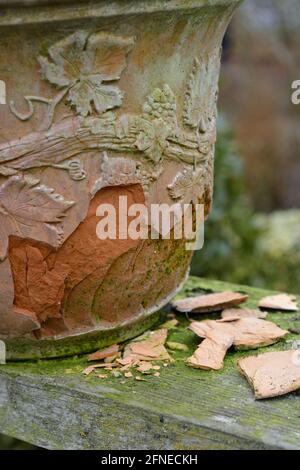 Dégâts de gel à la terre cuite décorative pot, Norfolk, Angleterre, Royaume-Uni Banque D'Images