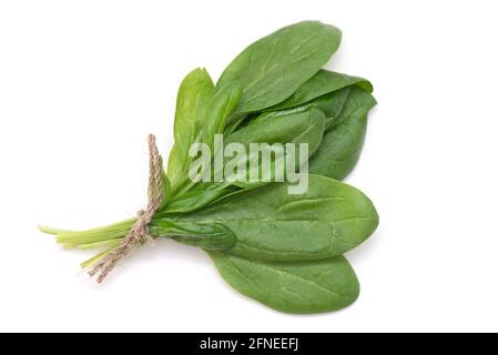 Bouquet de jeunes épinards frais et verts avec corde isolée sur blanc, vue de dessus Banque D'Images