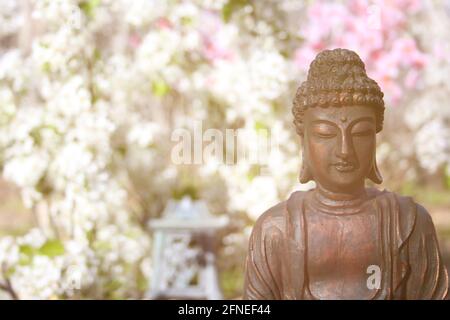 Statue de Bouddha dans le jardin extérieur avec fleurs de cerisier floues dedans Arrière-plan Banque D'Images