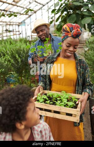 Femme heureuse africaine transportant une boîte avec des semis tout en cultivant des légumes dans la serre avec sa famille Banque D'Images