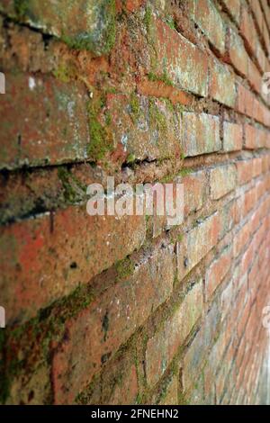 un vieux mur de briques recouvert de mousse photo Banque D'Images