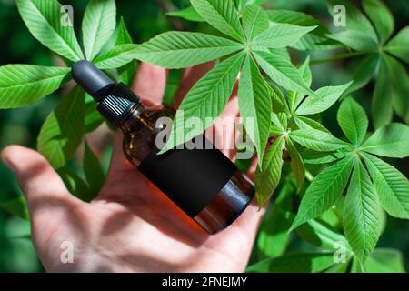 Produits à base d'huile de cannabis en bouteilles de verre. Concept de médecine alternative à base de plantes, industrie pharmaceutique. Banque D'Images