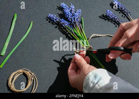 Les mains des femmes collectent un bouquet de muscari bleu en cadeau. Élagage de fleurs. Fleuriste en fleuriste. Style écologique. Fleuriste au travail. Femme faisant bo Banque D'Images