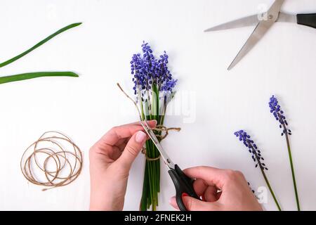 Les mains des femmes collectent un bouquet de muscari bleu en cadeau. Élagage de fleurs. Fleuriste en fleuriste. Style écologique. Fleuriste au travail. Femme faisant bo Banque D'Images
