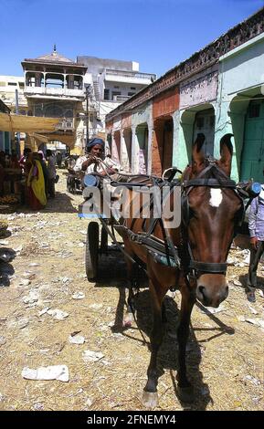 Scène de rue avec cheval et chariot au marché central de Jaipur. [traduction automatique] Banque D'Images