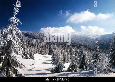 Paysage d'hiver près de Voecká bouda (Wosseccurbaude) dans les montagnes de Krkonoše. [traduction automatique] Banque D'Images