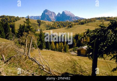 Vue sur l'Alpe di Siusi jusqu'au Sassolungo et le Sassopiatto dans les Dolomites du Tyrol du Sud. [traduction automatique] Banque D'Images