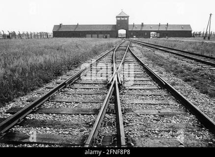 Porte principale du camp de concentration d'Auschwitz-Birkenau (Auschwitz II) en Pologne, par laquelle passent tous les trains entrants. Le camp a été construit par les SS en 1940 et libéré par les troupes soviétiques le 27 janvier 1945. Le site commémoratif établi en 1947 est un site classé au patrimoine mondial de l'UNESCO. [traduction automatique] Banque D'Images