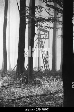 Hunter monte une échelle dans les montagnes Harz. [traduction automatique] Banque D'Images