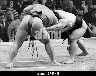 Deux lutteurs sumo pendant un match à Osaka. [traduction automatique] Banque D'Images