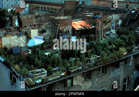 Berlin-Mitte, DEU, 12.07.1994, vue de la KULE (Kultur Leben) - maison, maison en squatted dans la Auguststrasse, à la plantation hachisch de la Zosch - maison (café Zosch) sur le toit opposé, (terrasse sur le toit), [traduction automatique] Banque D'Images