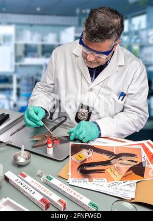 Un scientifique de police extrait un échantillon d'ADN d'une pince à épiler dans un laboratoire de crime, image conceptuelle Banque D'Images
