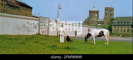 Berlin-bourgs / GDR Wall / 1983 Kreuzberg, à la Adalbertstrasse. Un cheval broute devant le mur. Berlin-Mitte se trouve derrière. Kreuzberg, en fait un quartier de centre-ville, se trouve à la limite de Berlin-Ouest. // nature / animaux / Histoire / communisme [traduction automatique] Banque D'Images