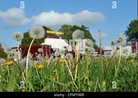 La première répétition complète de la robe au Cirque Giffords, basé près de Stroud, Gloucesterhsire du nouveau spectacle The Hooley avant les spectacles en direct d'allo Banque D'Images