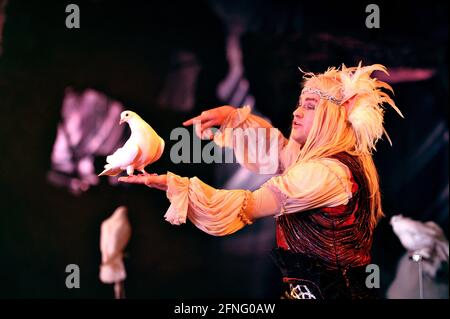 Andrejs Fjodorovs avec ses colombes formées. La première répétition complète de la robe au Cirque Giffords, basé près de Stroud, Gloucesterhsire du nouveau spectacle le Banque D'Images