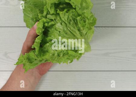 Main de sexe masculin tenant une salade de glace verte cultivée au niveau des horticulteurs un fond en bois Banque D'Images