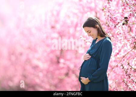 Profil d'une femme enceinte regardant le ventre dans un champ rose au printemps Banque D'Images