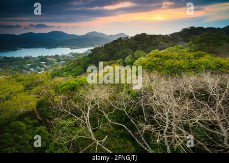Paysage de la forêt tropicale du Panama au coucher du soleil, à Gamboa avec vue sur la canopée de la forêt tropicale du parc national de Soberania, Gamboa, République du Panama. Banque D'Images