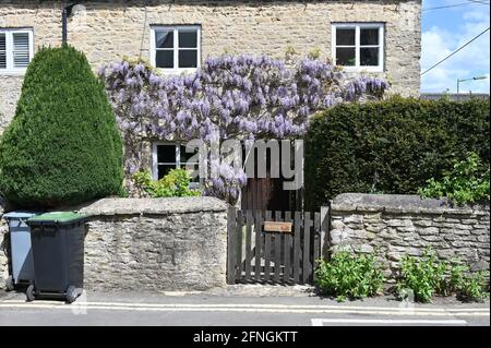 Glycine en fleur sur le mur extérieur de Fox Cottage Dans la ville de Woodstock, dans le nord du Oxfordshire Banque D'Images