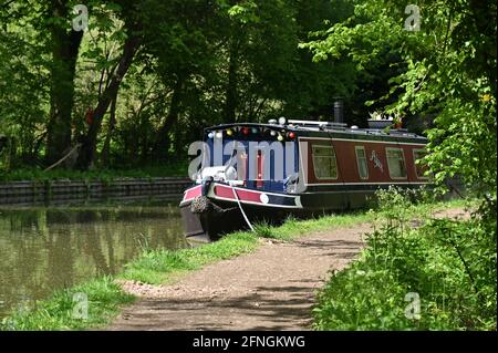 Des bateaux à basse-flèche sur le canal d'Oxford à Thrupp, près de l' Village de Kidlington au nord d'Oxford Banque D'Images