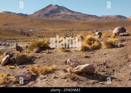 Paysage désertique, désert d'atacama, Bolivie Banque D'Images