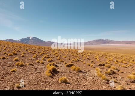 Paysage désertique, désert d'atacama, Bolivie Banque D'Images