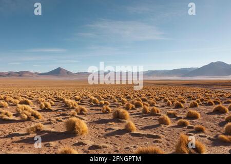 Paysage désertique, désert d'atacama, Bolivie Banque D'Images