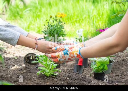 la jeune fille aide la mère à planter des fleurs. Maman et sa fille jardinaient pendant le week-end. Banque D'Images